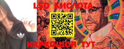 прущие крисы Славгород