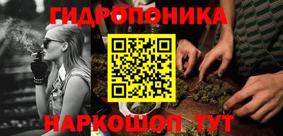прущие крисы Славгород