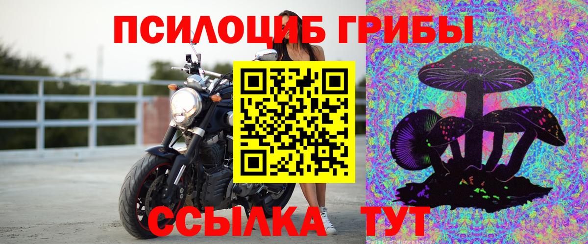 Псилоцибиновые грибы GOLDEN TEACHER Орёл