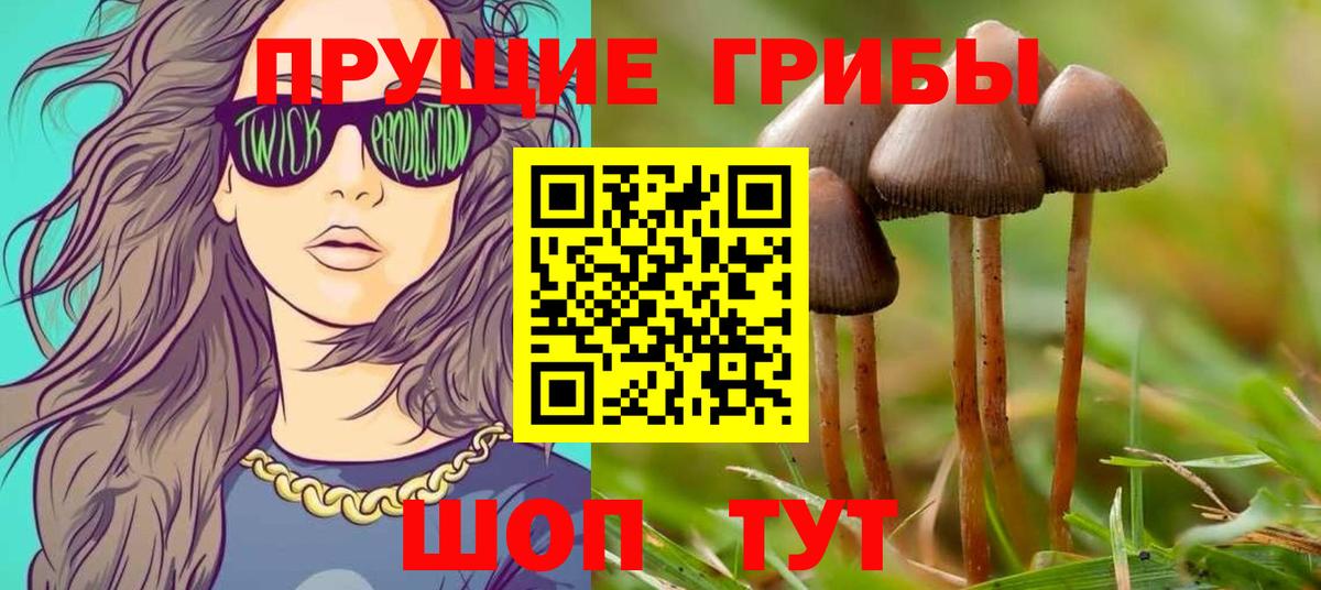 наркота  Галлюциногенные грибы Psilocybine cubensis  Орёл  Вход с VPN  Галлюциногенные грибы Psilocybine cubensis 
